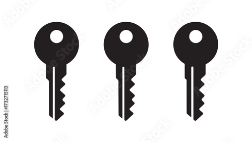 Set of minimalist key icons simple flat vector design element isolated on white background for web and mobile apps