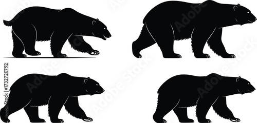 Bear silhouette illustration, walking bear vector, wild animal graphic, wildlife design art, forest creature symbol, hunting icon artwork, nature animal pose