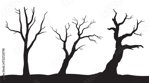 Set of bare tree silhouettes vector illustration of leafless trees in winter isolated on white background