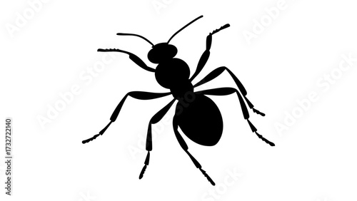 silhouette of a ant shape vector illustration