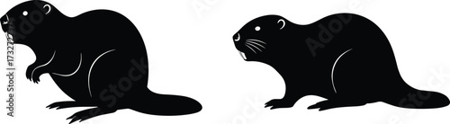 Silhouette beaver illustration, standing and walking beaver poses, wildlife animal vector, flat tail rodent design, nature symbol, cartoon style graphic