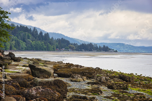 Rocky tidal shoreline with a lush forested mountain background under an overcast sky