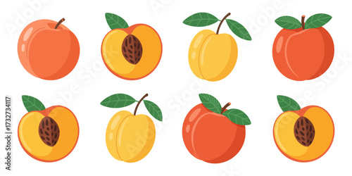 Assorted Fresh Peaches and Plums Hand-Drawn Fruit Illustration