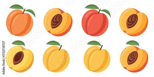 Assorted Fresh Peaches and Plums Hand-Drawn Fruit Illustration