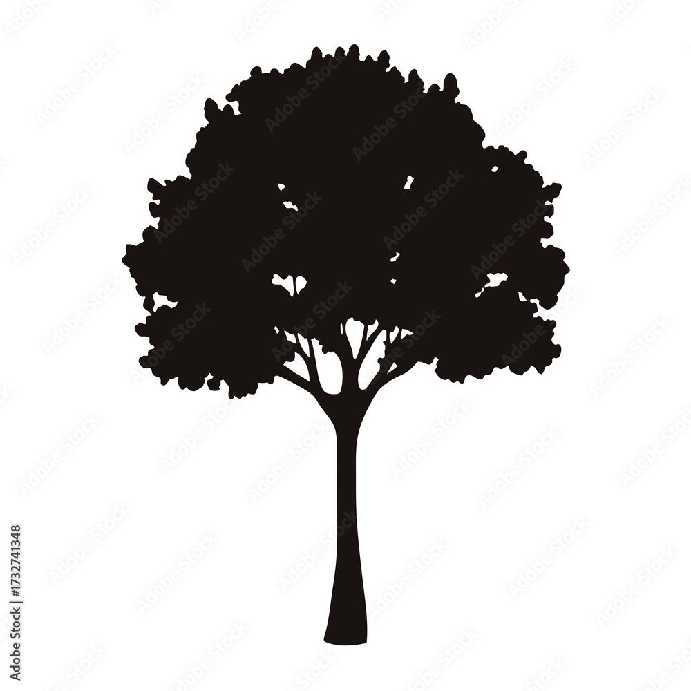 Fototapeta premium Silhouette of a deciduous tree with a thick canopy against white background