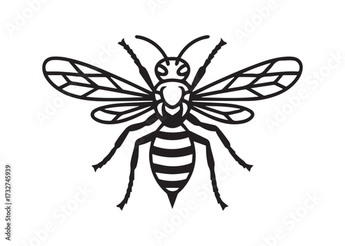 Wasp line art vector