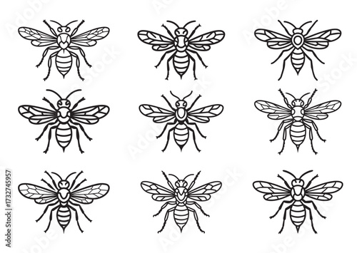 Wasp line art vector