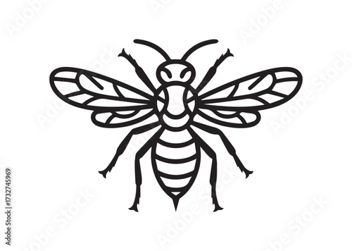 Wasp line art vector