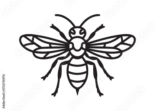 Wasp line art vector
