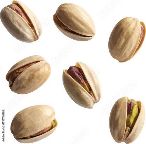  Hand Drawn Pistachio Nuts in Shell Illustration Set

