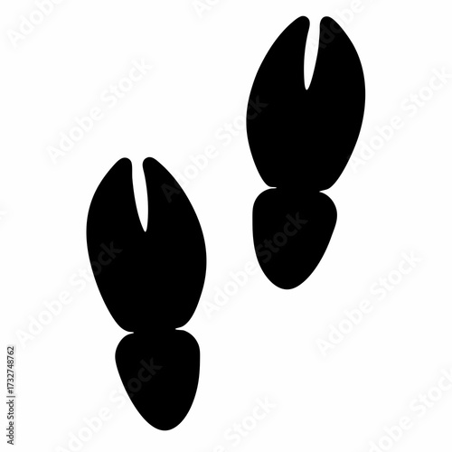 Black and white image depicting two deer hoof prints, animal tracks