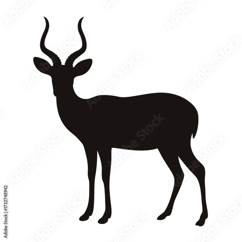 Silhouette of a magnificent impala antelope with elegant horns standing gracefully