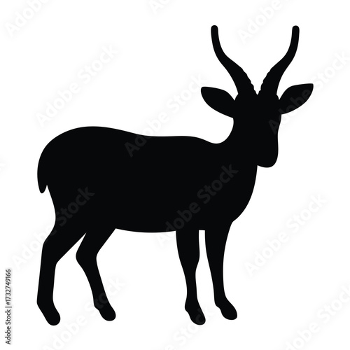 Silhouette of a Gazelle Standing on a White Background Detailed Illustration