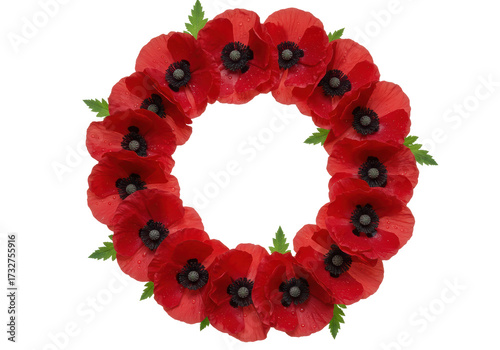 Isolated circle wreath of red poppy flowers with raindrops, remembrance day decoration
