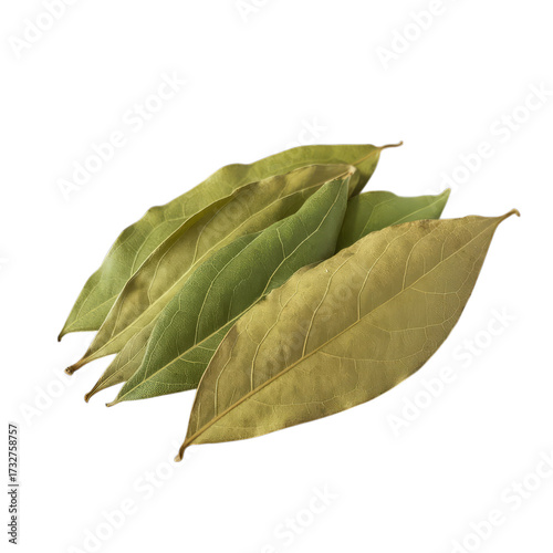 Dried bay leaves with green and brown hues foliage