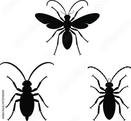 Silhouette collection of three distinct insects detailed antennae wings legs and thorax