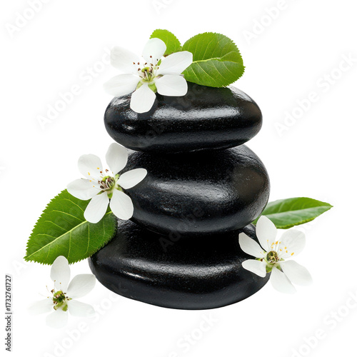 PNG Balanced stones flowers white leaf.