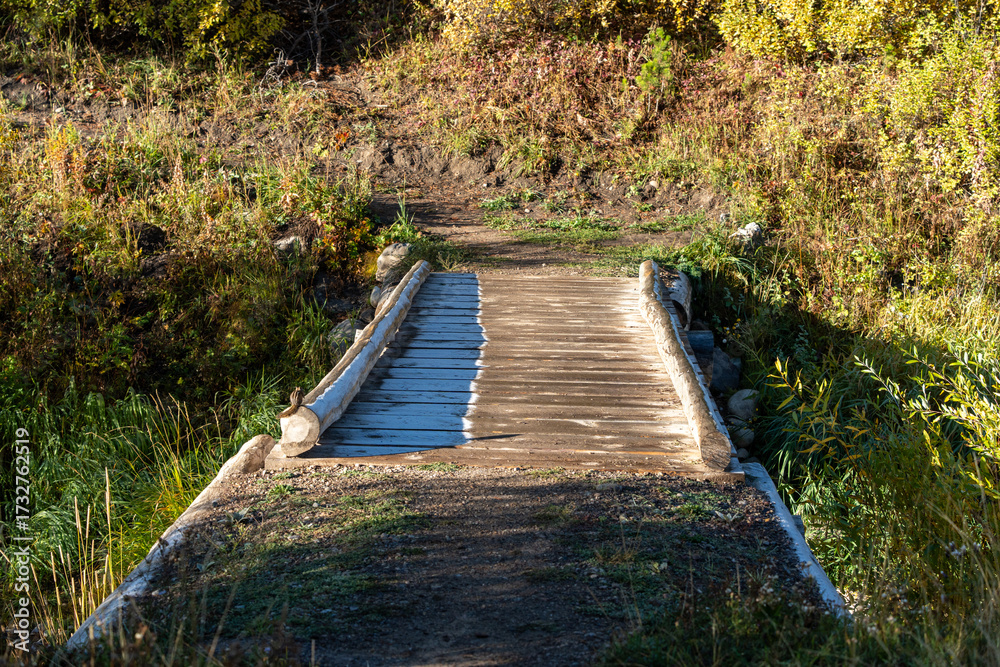 Fototapeta premium A small wooden footbridge with frost. A chipmunk sits atop the left side