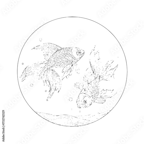 Two goldfish swimming in a circular frame with bubbles and water line in a monochrome line drawing style