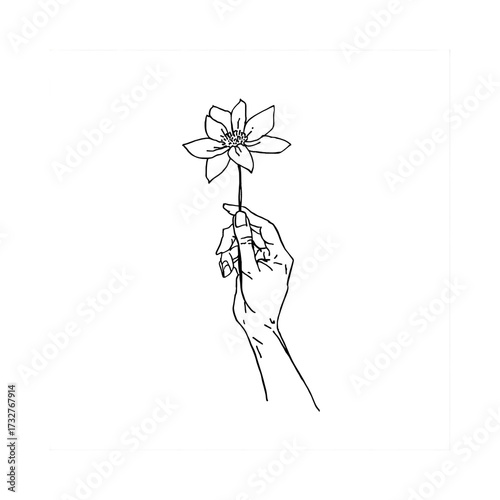 Hand holding a flower illustration in black and white with detailed petals and stem on white background