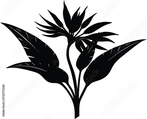 Bird Of Paradise Plant Silhouette | Exotic Flower Vector Design