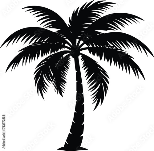 Coconut Palm Silhouette | Tropical Tree Vector Illustration