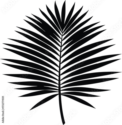 Palm Frond Silhouette | Tropical Plant Leaf Vector Design