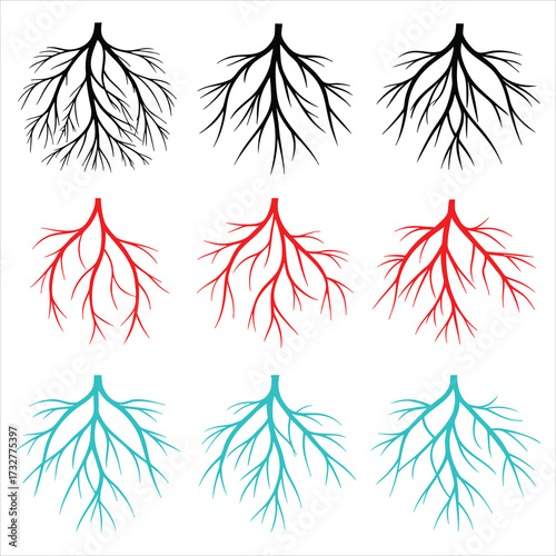 Black red blue branching structures vector
