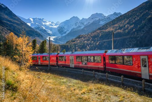 Red Bernina Express train passing through colorful autumn forest near Morteratsch glacier in the Swiss Alps, blue sky, golden trees and snowy mountain peaks in the background. Switzerland. Red train