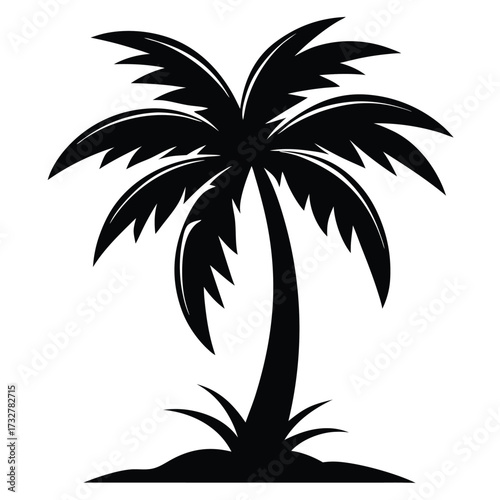 Solitary palm tree silhouette stands gracefully on the tropical sandy beach front