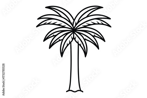 Palm tree outline stands elegantly, showcasing detailed leaves and a sturdy, linear trunk