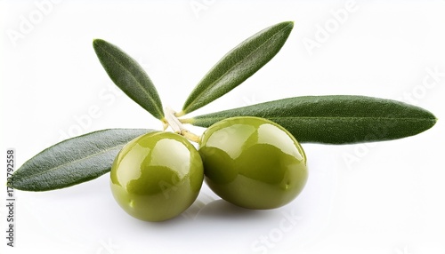 Wallpaper Mural Fresh Olive Branch Isolated On White Torontodigital.ca