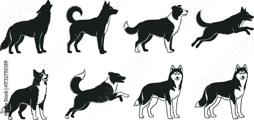 Black and White Dog Silhouettes in Dynamic Poses Featuring Various Breeds for Pet, Animal, Anatomy, and Wildlife Vector Design