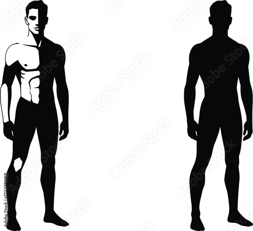 Human anatomy and silhouette comparison showing muscular detail and simplified form for educational, medical, artistic, and design illustration purposes.