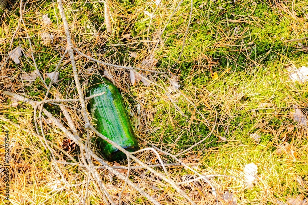 Obraz premium Green glass bottle partially buried in grass and twigs, surrounded by natural elements, showcasing environmental impact and litter in outdoor settings