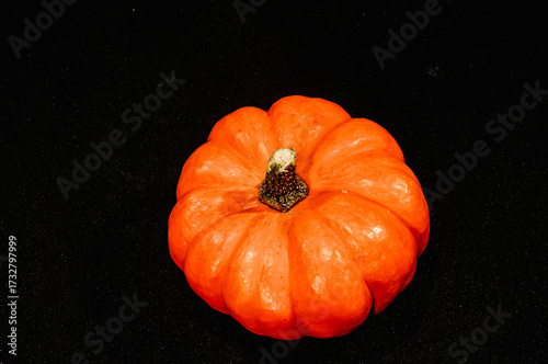 top view, closeup of, a small, orange pumpkin, with a short stem and a black background