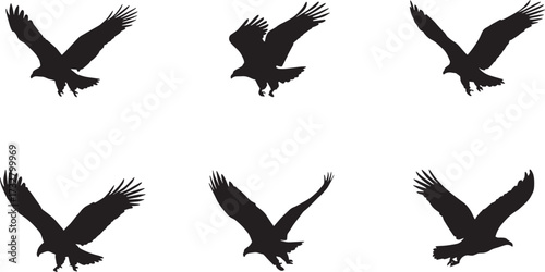 vector birds silhouette