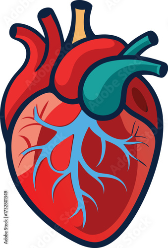 Stylized Human Heart with Blue Veins and Red Arteries