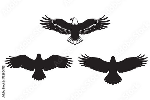 vector birds silhouette