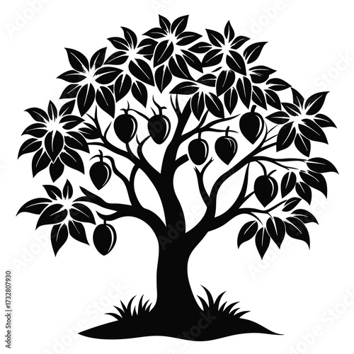 Silhouette of a mango tree bearing fruit with lush leaves is viewed