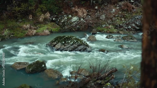 A rock in the middle of a river in the New Zealand bush.