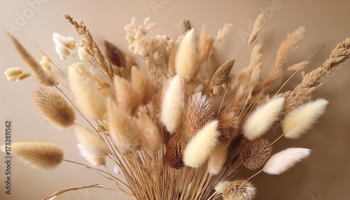 Wallpaper Mural Dry Fluffy Flowers Bouquet On Beige Background Fluffy Bunny Tails Tan Pom Pom Plants Grass Backdrop Aesthetic Poster Design Autumn Vibes Torontodigital.ca