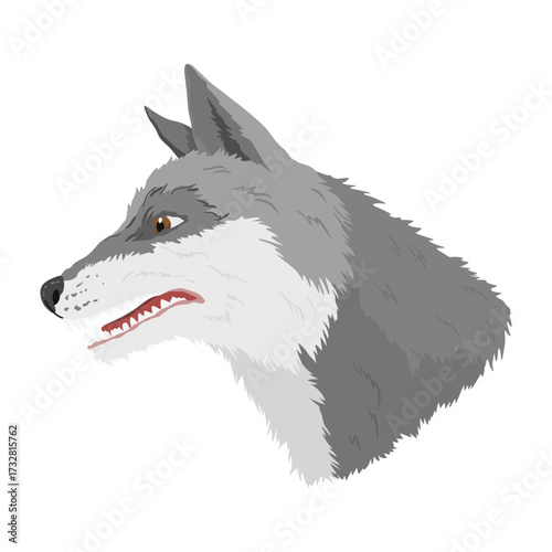 Gray wolf. A predatory beast. Wild forest animal. Vector hand drawn vintage old sketch for stamp, t-shirt or typography or badge