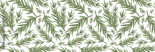 hand drawn rosemary sprigs repeating background natural leaf foliage wallpaper decoration for kitchen cafe menu web banner design fresh organic food flavor