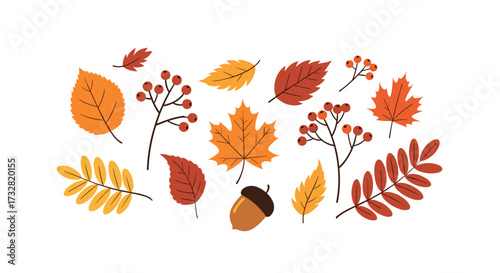 A collection of stylized autumn leaves and berries with an acorn.