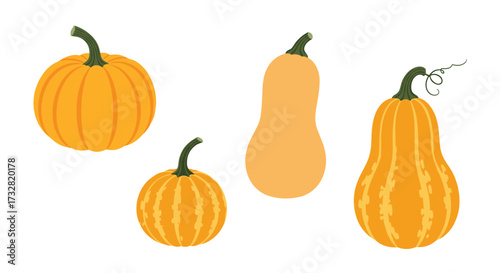 A delightful collection of gourds and squash for fall harvest.