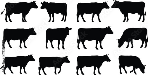 Cattle silhouette grid, black cow icons, livestock posture variations, farm animal shapes, grazing and standing cows, minimalist agricultural vector illustration