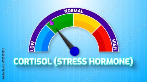 4K Animated Cortisol (Stress Hormone) Level Meter Increasing from Low to High Levels , Monitoring Stress Response and Adrenal Health