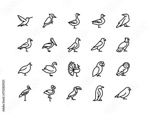 Birds Vector Icon Set | Adjustable Line Weight | Owl, dove, raven, parrot, penguin, duck, goose, pelican, flamingo, swan, pigeon, seagull, toucan