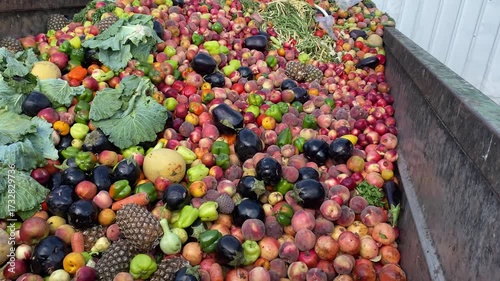 Bio Waste of Expired Vegetables in a huge container, Organic mix in a rubbish bin. Heap of Compost from vegetables or food for animals.